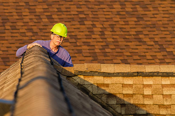 Best Roof Restoration Services  in Venice, IL